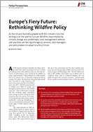 Europe's Fiery Future: Rethinking Wildfire Policy